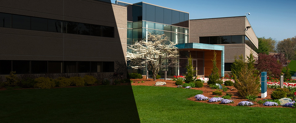 Scottsdale Landscapers