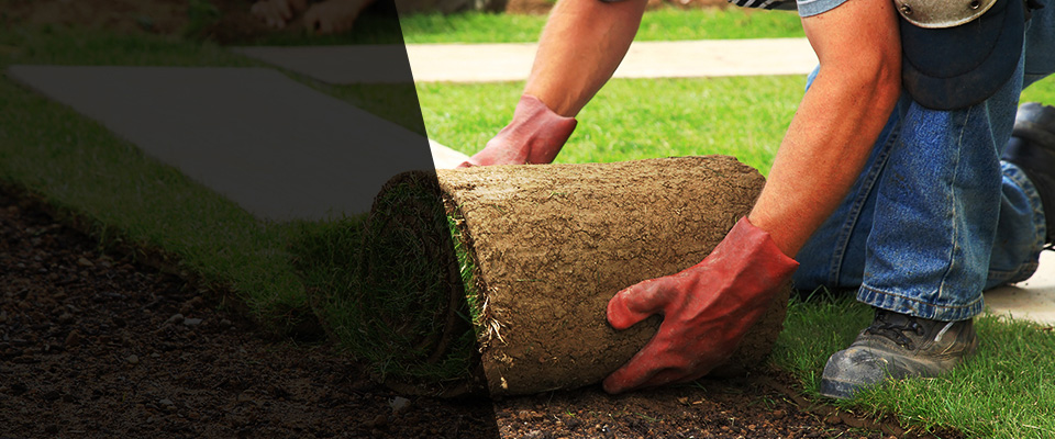 Scottsdale Landscapers